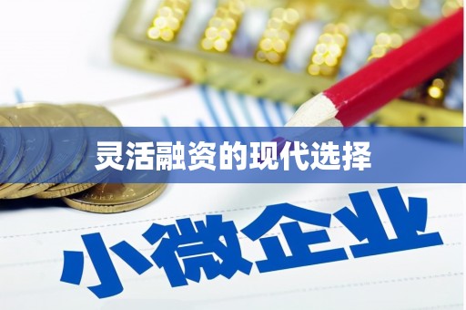 西和灵活融资的现代选择