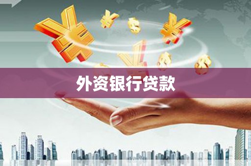 西和外资银行贷款