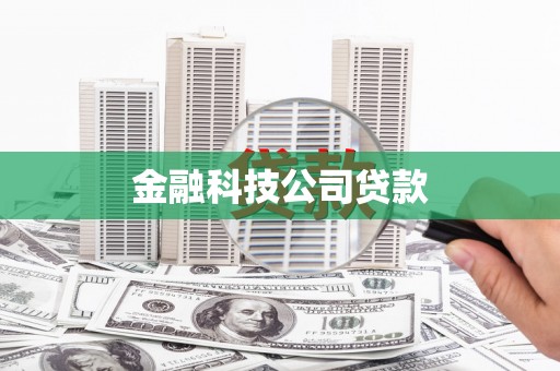 西和金融科技公司贷款