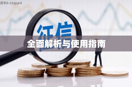 西和全面解析与使用指南