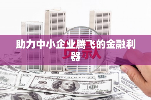 西和助力中小企业腾飞的金融利器