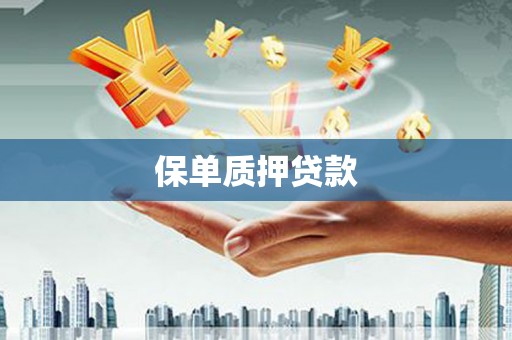 西和保单质押贷款
