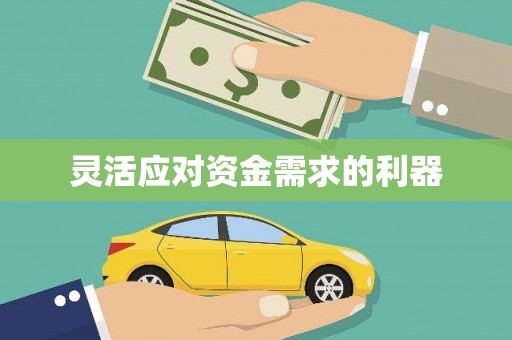 西和灵活应对资金需求的利器