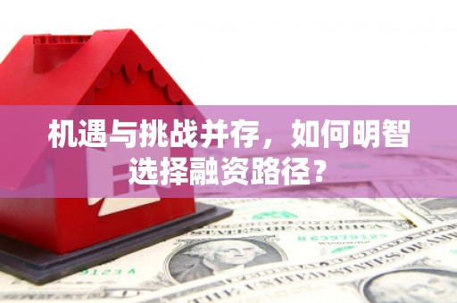 西和机遇与挑战并存，如何明智选择融资路径？