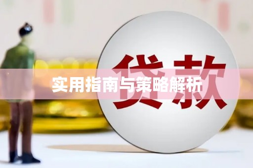 西和实用指南与策略解析