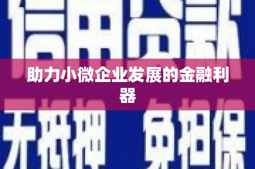 西和助力小微企业发展的金融利器