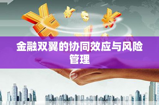 西和金融双翼的协同效应与风险管理