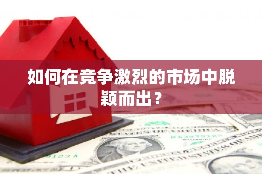 西和如何在竞争激烈的市场中脱颖而出? 西和如何在竞争激烈的市场中脱颖而出?