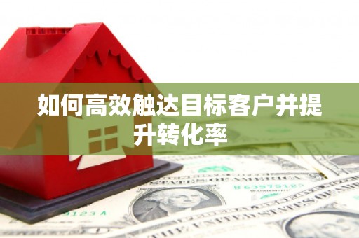 西和如何高效触达目标客户并提升转化率