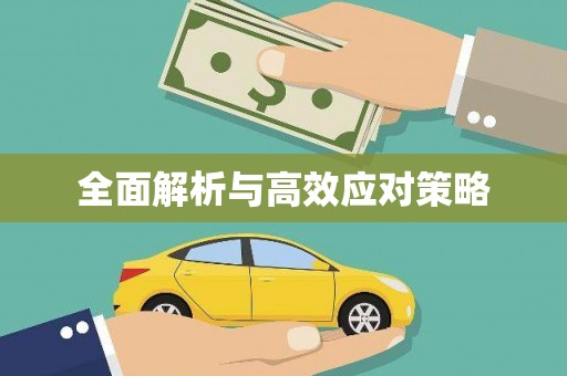 西和全面解析与高效应对策略