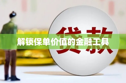 西和解锁保单价值的金融工具