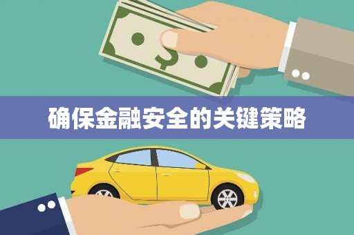西和确保金融安全的关键策略