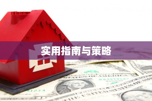 西和实用指南与策略