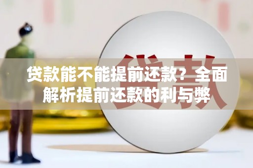 西和贷款能不能提前还款？全面解析提前还款的利与弊