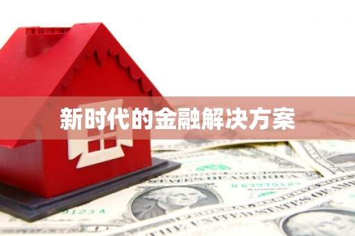 西和新时代的金融解决方案