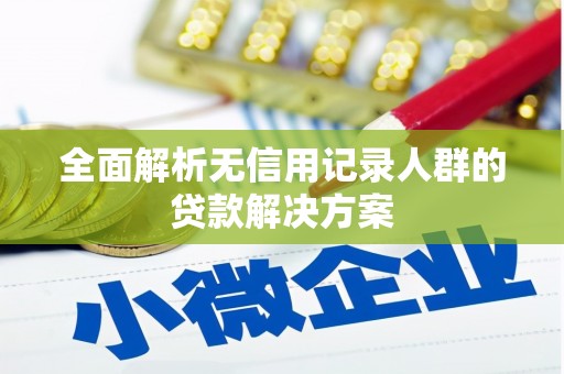 西和全面解析无信用记录人群的贷款解决方案