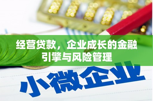 西和经营贷款，企业成长的金融引擎与风险管理
