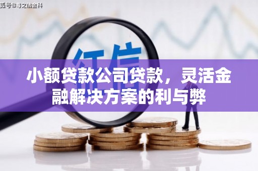 西和小额贷款公司贷款，灵活金融解决方案的利与弊