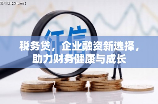西和税务贷，企业融资新选择，助力财务健康与成长