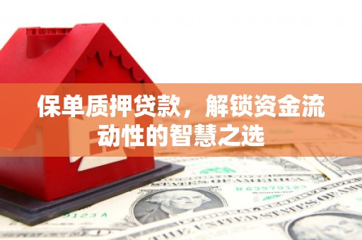 西和保单质押贷款，解锁资金流动性的智慧之选