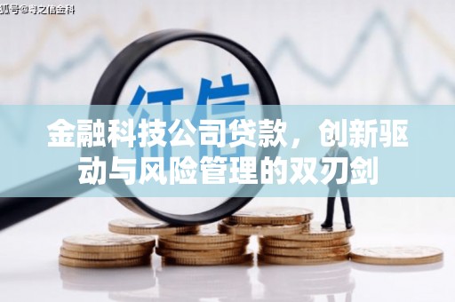 西和金融科技公司贷款，创新驱动与风险管理的双刃剑