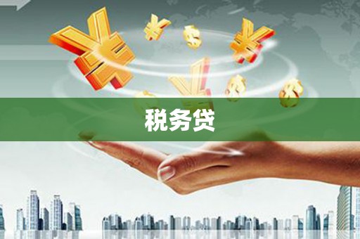 西和税务贷